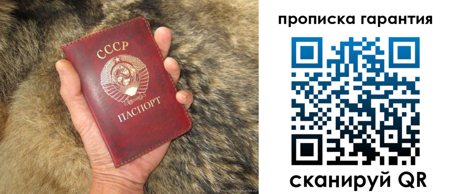 временная регистрация гарантия в Семилуках